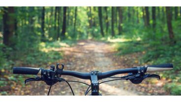 El medio de transporte más sustentable para recorrer el mundo