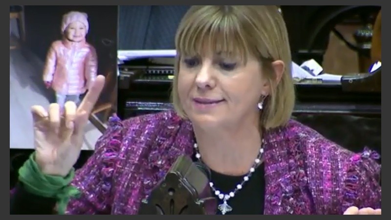 La diputada nacional Alejandra Rodenas.