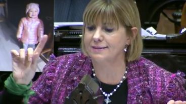 La diputada nacional Alejandra Rodenas.