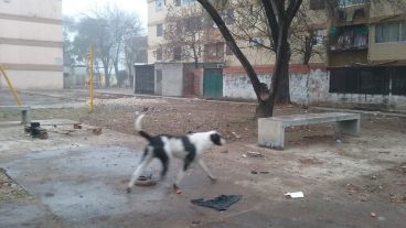 La plazoleta que comenzó a recuperarse en otro rincón del Fonavi.