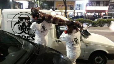 Los empleados de la empresa sacando el falso cadáver por Pellegrini.