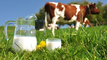 La leche cruda tiene un riesgo de contaminación 840 veces mayor que la pasteurizada.
