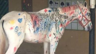 La imagen despertó el repudio de proteccionistas de animales.