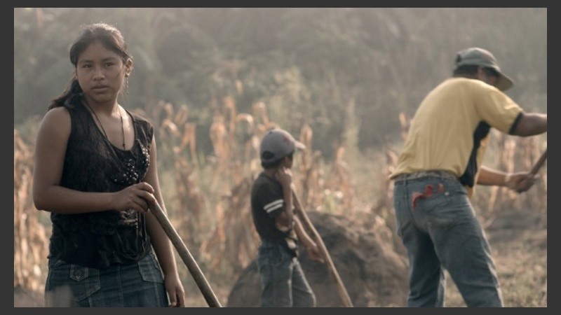 La actividad es organizada por el Instituto Multimedia DerHumALC (IMD).