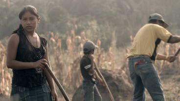 La actividad es organizada por el Instituto Multimedia DerHumALC (IMD).