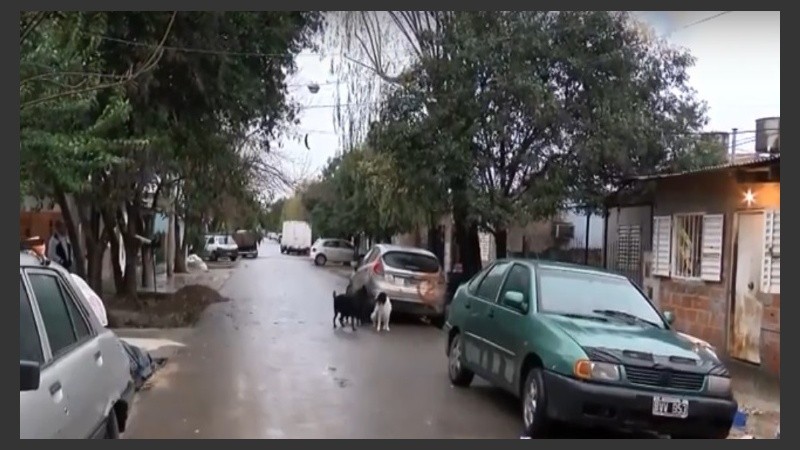 Los vecinos afectados contaron el caso en El Tres.