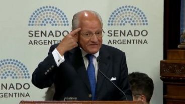 Albino, durante su exposición en el Senado.