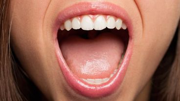 Las células de la boca se expresaban de tal forma que siempre estaban preparadas para sanar posibles heridas, incluso antes de que estas se produjesen.
