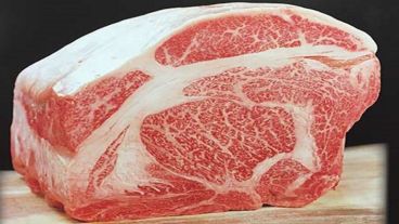 Así luce la carne de wagyu, una particular variedad vacuna criada en Japón.