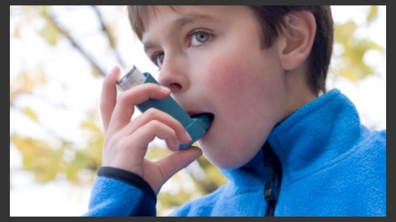 Unas 325 millones de personas padecen asma en el mundo.