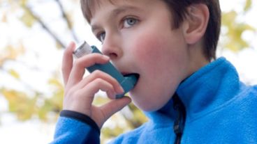 Unas 325 millones de personas padecen asma en el mundo.
