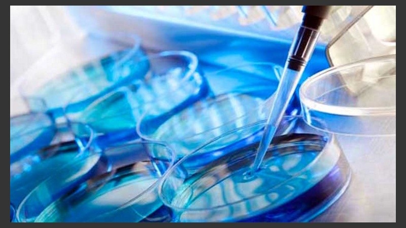 Hasta la fecha, han ocurrido en el mundo más de 5 millones de nacimientos por Técnicas de  Reproducción Asistida.