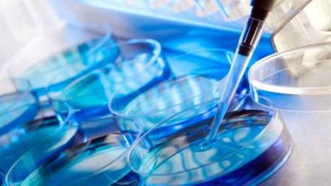 Hasta la fecha, han ocurrido en el mundo más de 5 millones de nacimientos por Técnicas de  Reproducción Asistida.