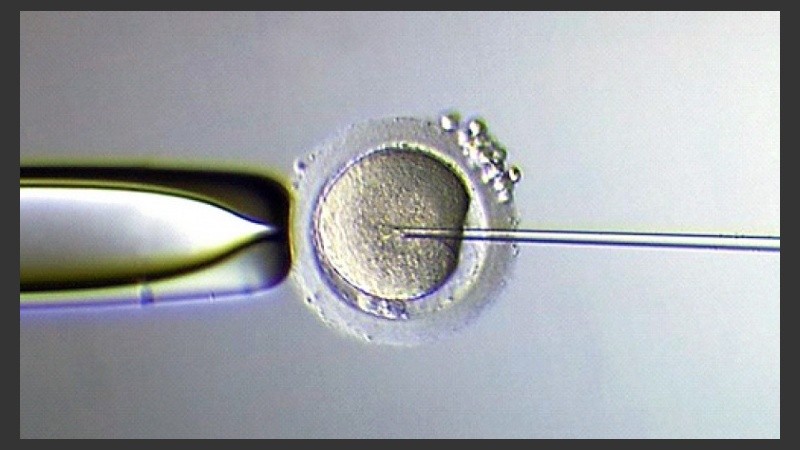 La Reproducción Asistida se emplea cuando se debe superar algún tipo de problema médico que impide a la pareja lograr un embarazo.