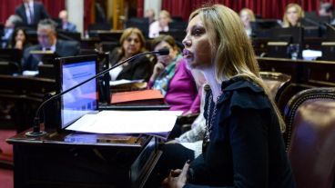 La legisladora santafesina sostuvo que Carrió "parece ser una senadora sin banca".