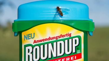 El jardinero usó Roundup.