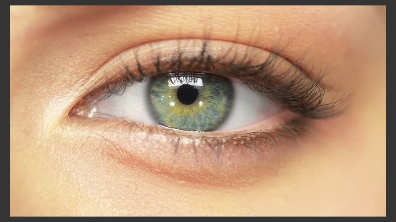 Los humanos cuentan con células regenerativas en sus retinas.