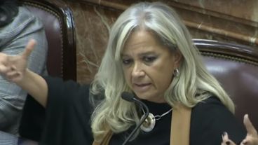 María Inés Pilatti Vergara, senadora por Chaco.
