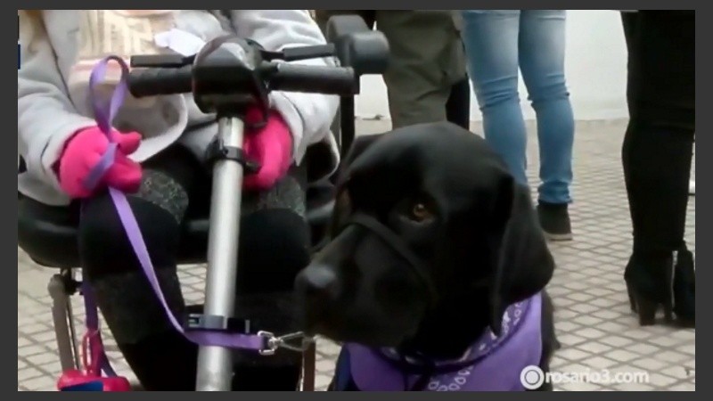 Paz fue entrenada por presas del penal de Ezeiza. 