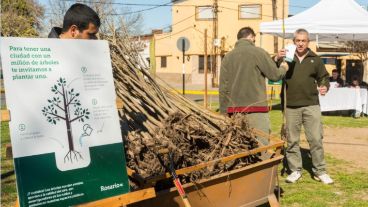 Los árboles son reguladores de temperaturas, lluvias y calidad del aire.