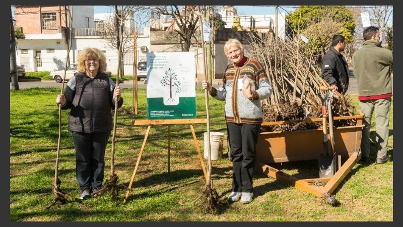 Los árboles son reguladores de temperaturas, lluvias y calidad del aire.