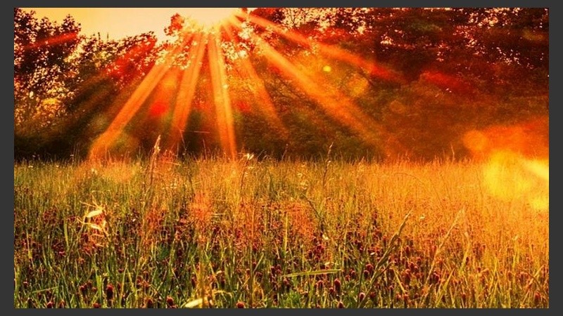 Tibieza para un martes de invierno. 