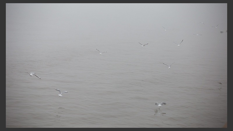 Así se veía la densa niebla sobre la costa rosarina este lunes por la mañana.