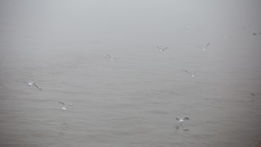 Así se veía la densa niebla sobre la costa rosarina este lunes por la mañana.