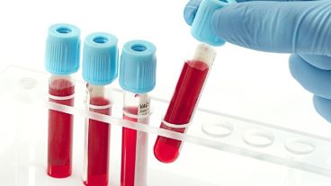 La novedad de esta fórmula es que es hasta 30 veces más eficiente que las estudiadas previamente.