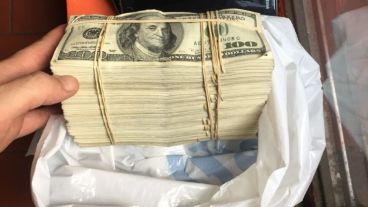 Parte de los dólares incautados en los allanamientos.