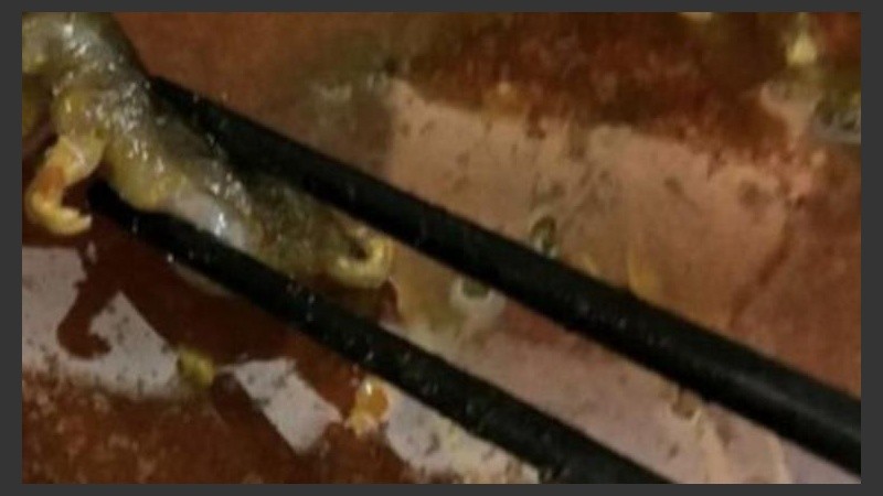 La mujer revolvió el caldo y surgió esta horrorosa criatura. 