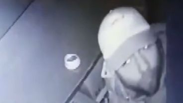 "El ladrón hizo cuatro viajes, estamos en la peatonal Córdoba, es muy llamativo".