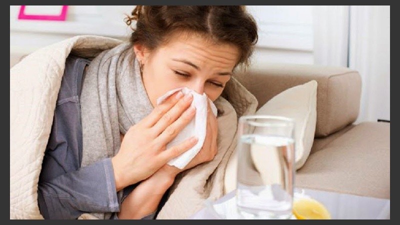 El rhinovirus es el responsable de la mayoría de casos de resfrío común.