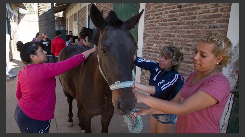 Además de los martes y jueves en el hipódromo, los viernes hay 