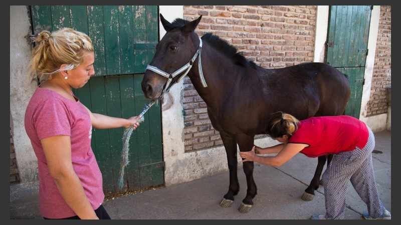 Los integrantes son 15 jóvenes de Vía Honda, la mayoría de familia de carreros.