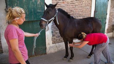Los integrantes son 15 jóvenes de Vía Honda, la mayoría de familia de carreros.