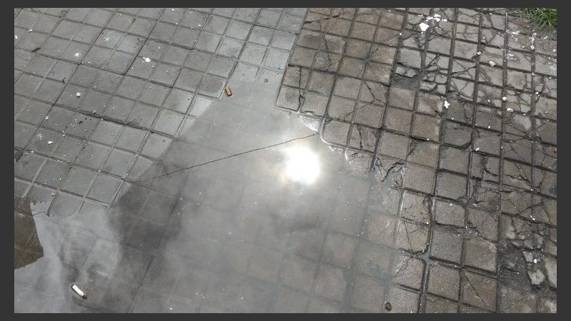 El sol hará el intento desde los charcos. 