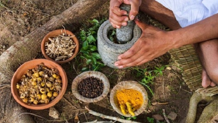 Tiene como ejes: Cosmovisiones y filosofías; Orígenes de la medicina tradicional y chamanismo; Medicina tradicional indoamericana.