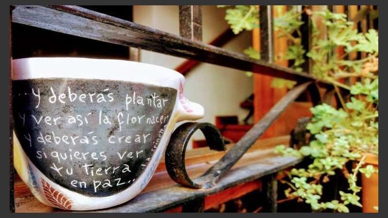 Ver así la flor nacer.