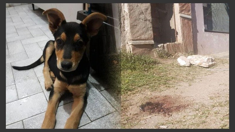 El caso de Kika tuvo una amplia repercusión en Córdoba.