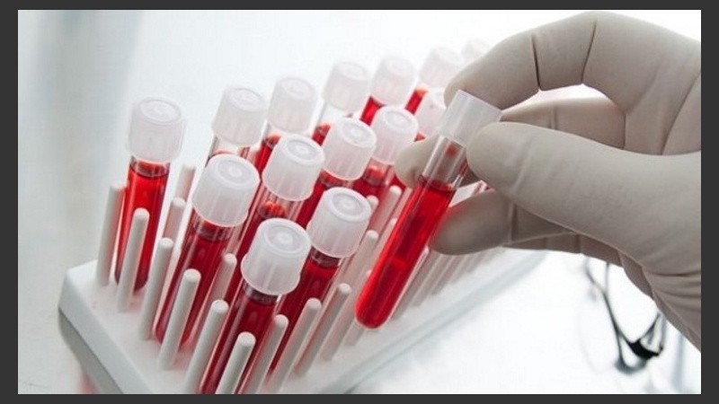 La sangre forma parte del sistema inmunitario y se encarga de defender el cuerpo de posibles ataques.