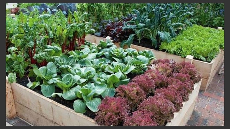 La actividad es organizada por el Programa de Agricultura Urbana y el Programa Pro Huerta INTA.