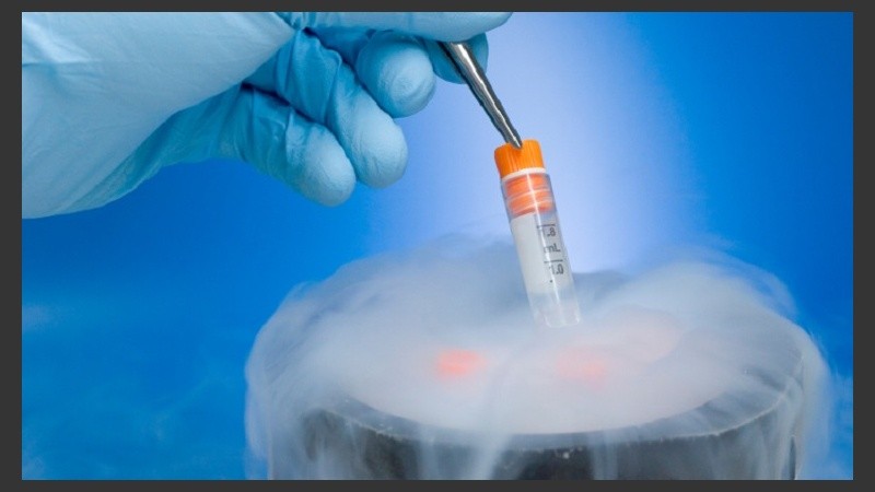 “La criopreservación de óvulos y de espermatozoides ya son técnicas establecidas”, sostiene la dra. Carla López.