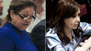 Graciela Camaño y Cristina Kirchner criticaron que el Estado deba hacer cargo del 50% de la compensación a las distribuidoras.