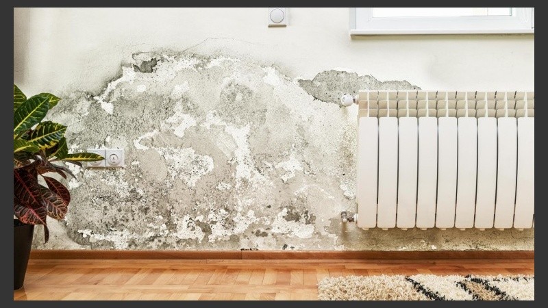 A la larga, las personas que viven en un hogar con humedad sentirán malestar.