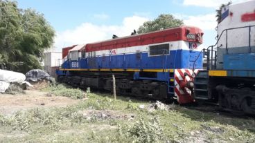 La formación que embistió a la víctima.