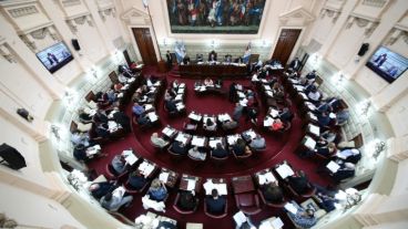 La Cámara de Diputados de Santa Fe dio media sanción al proyecto de Rubeo.