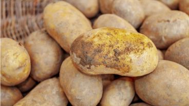 Papas, carne, queso, paleta y pollo. Lo que encontraron en el auto.