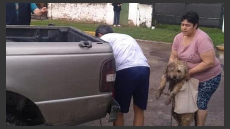 La imagen del momento en que desatan al perrito. 