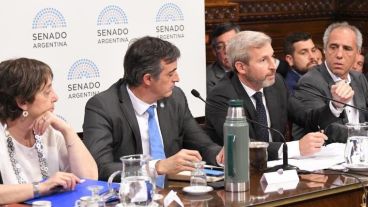 Frigerio este martes en el Senado.